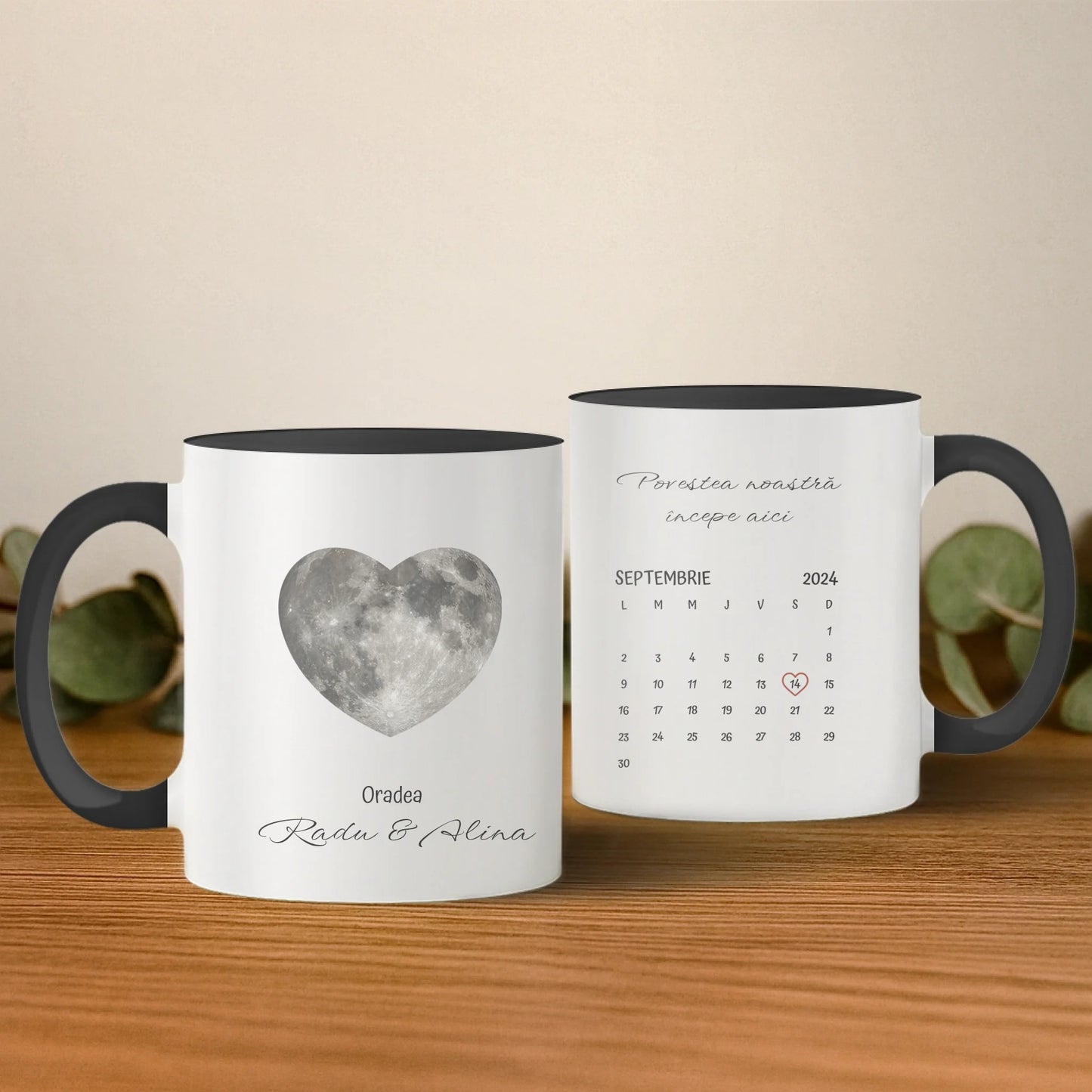 cana cu interior si toarta albastra 2 buc base