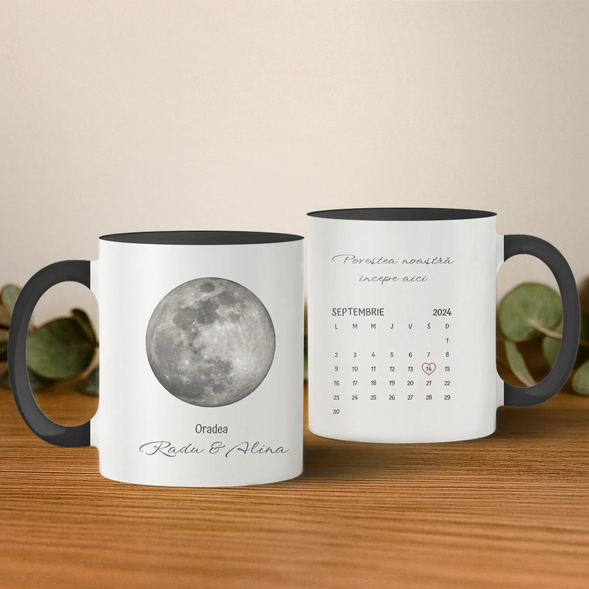 cana cu interior si toarta albastra 2 buc base