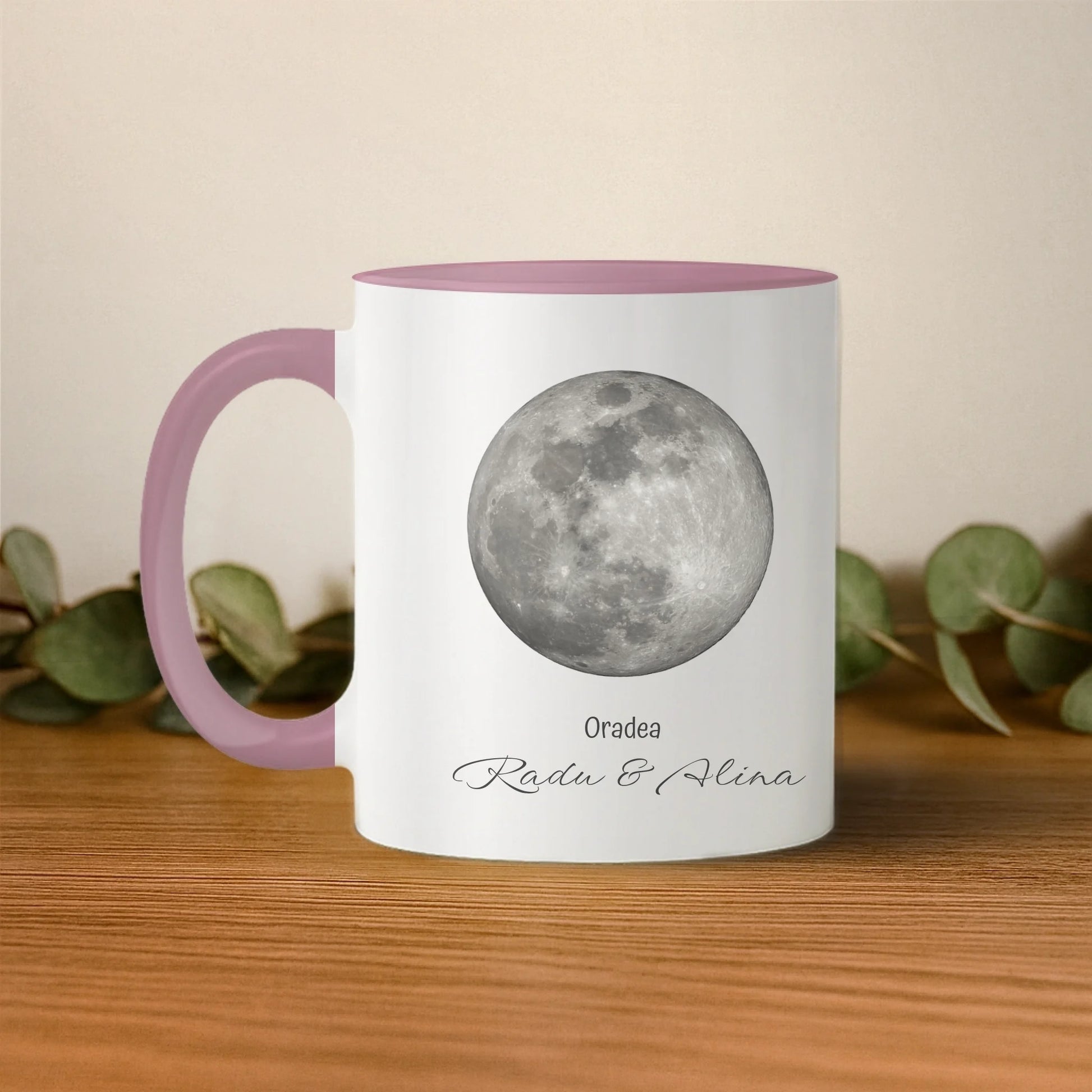 cana cu interior si toarta albastra stanga base