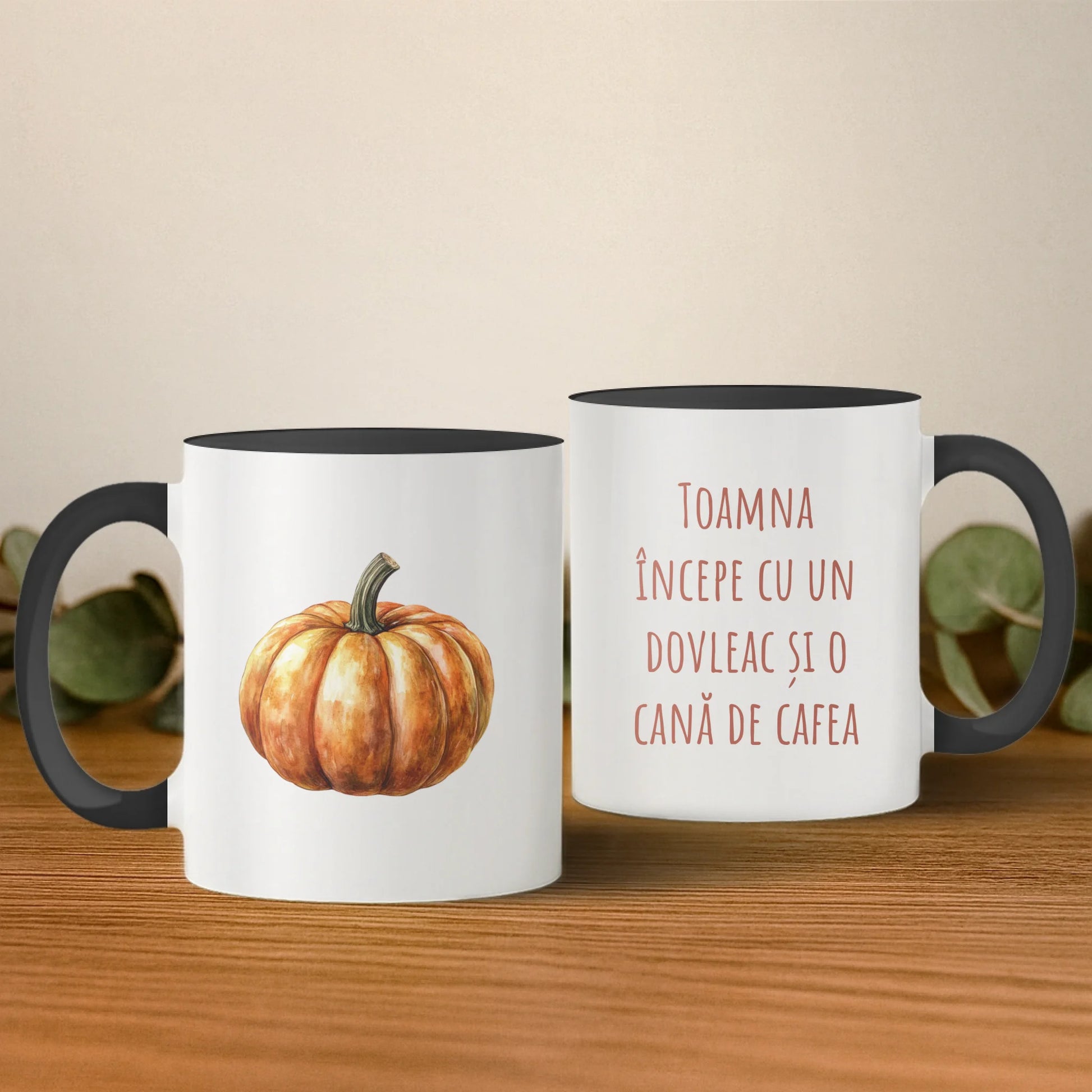 cana cu interior si toarta albastra 2 buc base