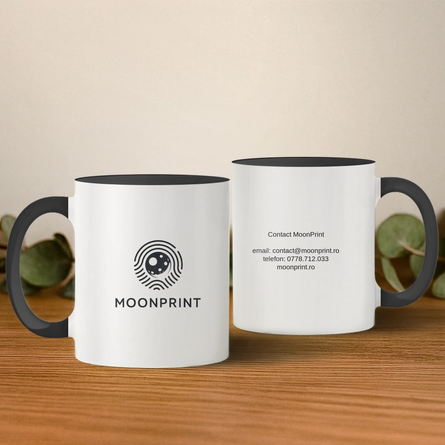 cana cu interior si toarta albastra 2 buc base