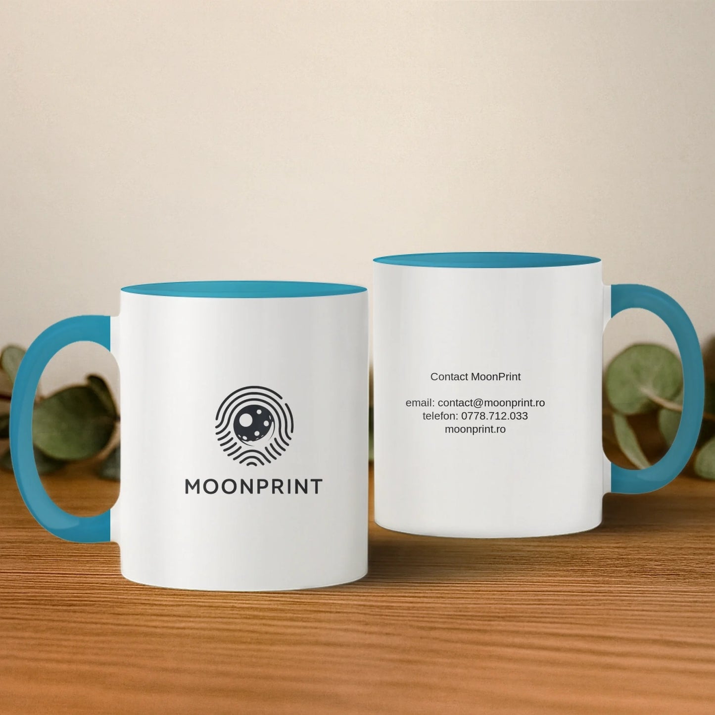 cana cu interior si toarta albastra 2 buc base