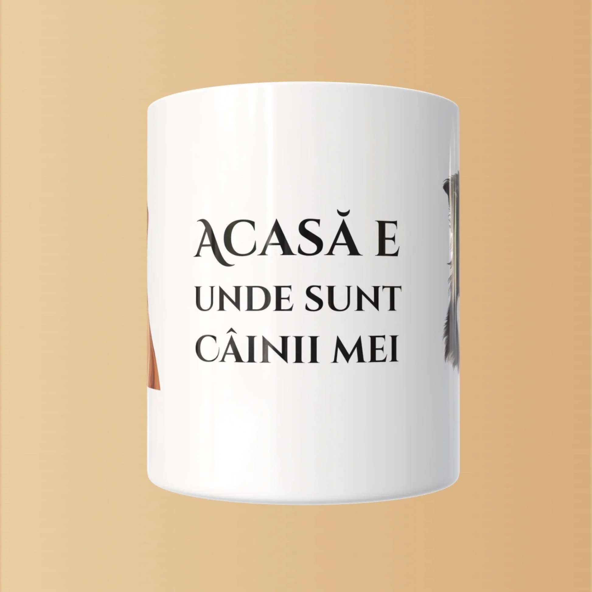 Render_Mockup_1920_1920_2026-03-09_1
