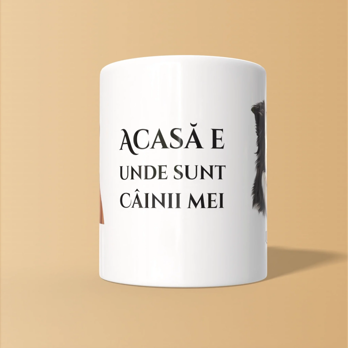 Render_Mockup_1-1