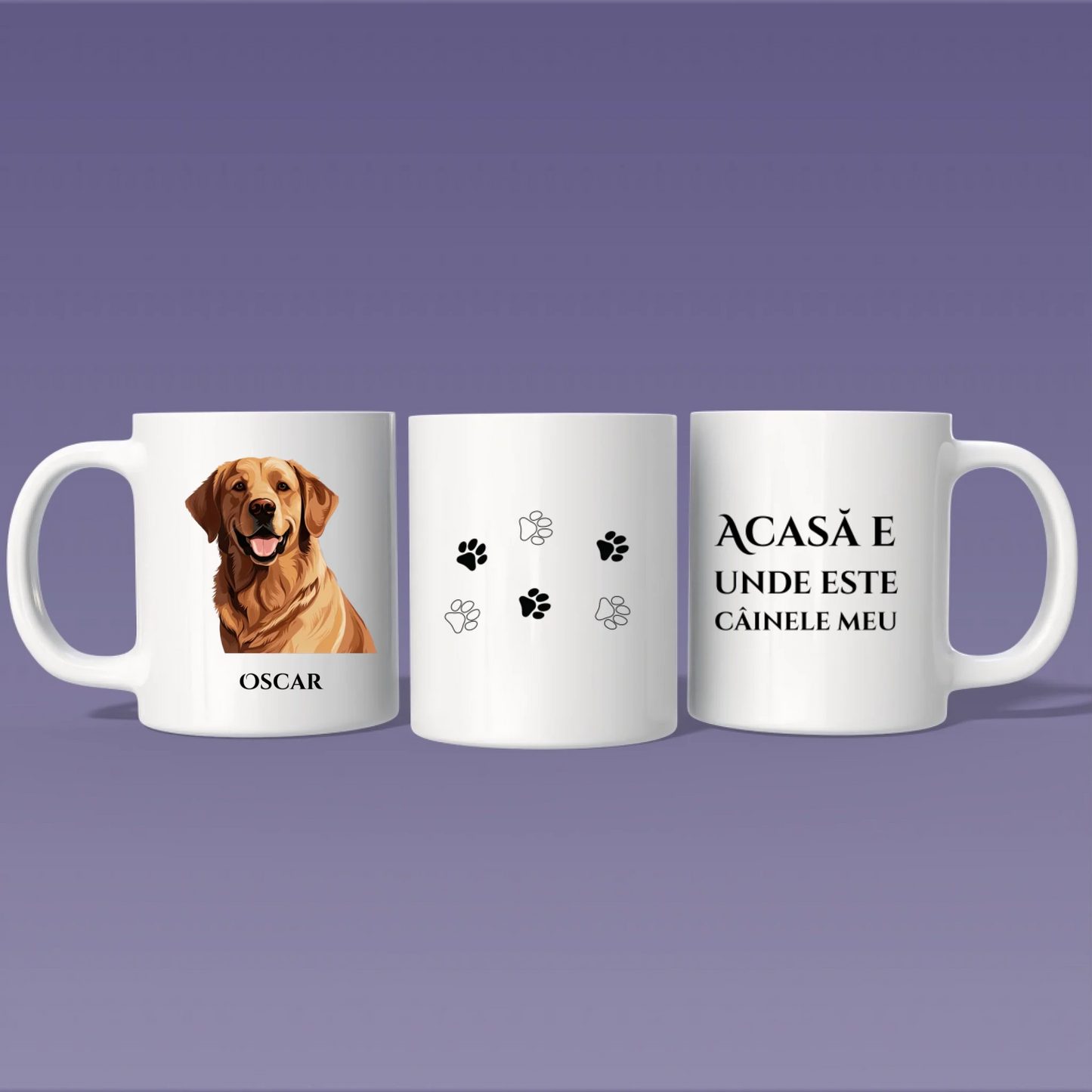 Render_Mockup_1920_1920_2026-03-31_5