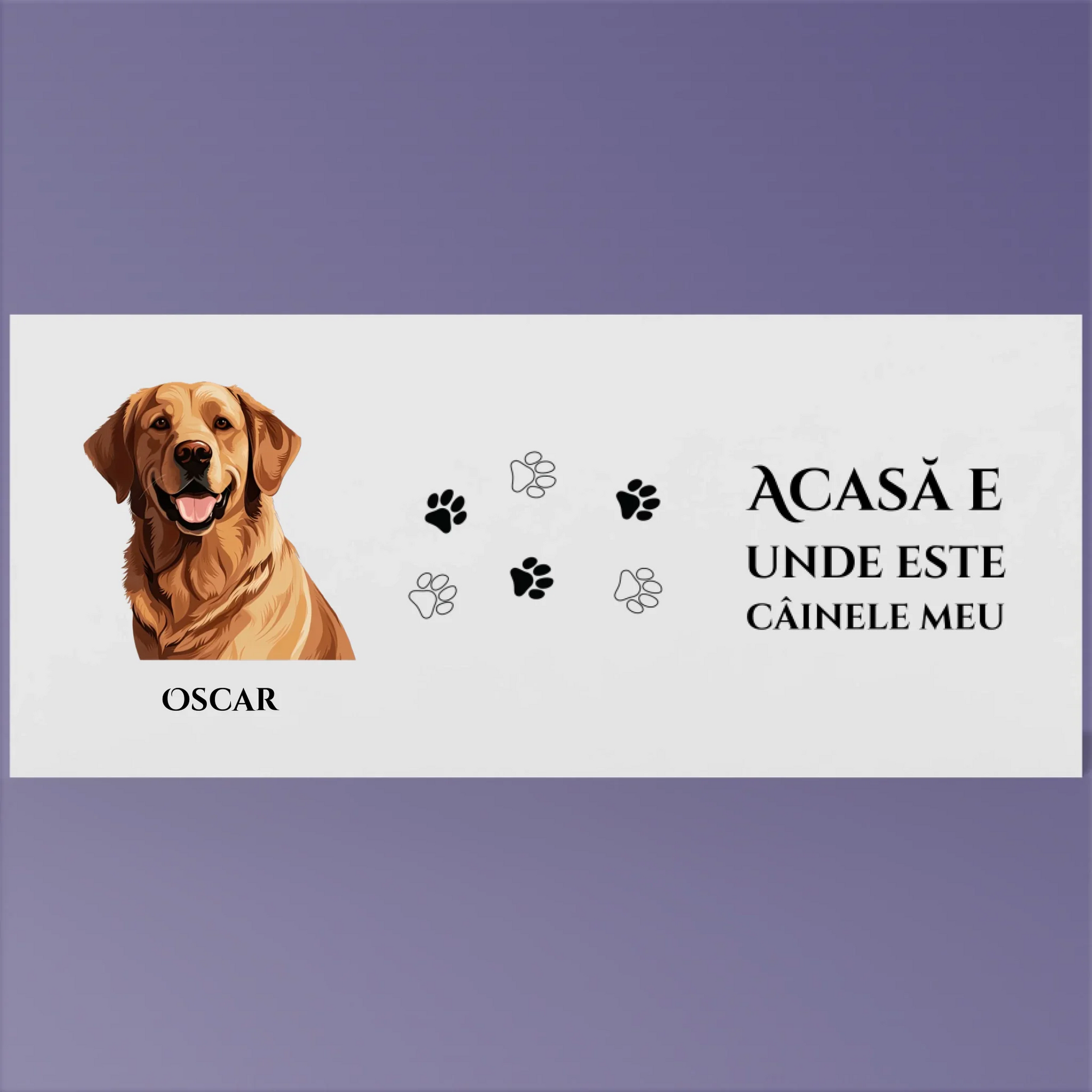 Render_Mockup_1920_1920_2026-03-21_2