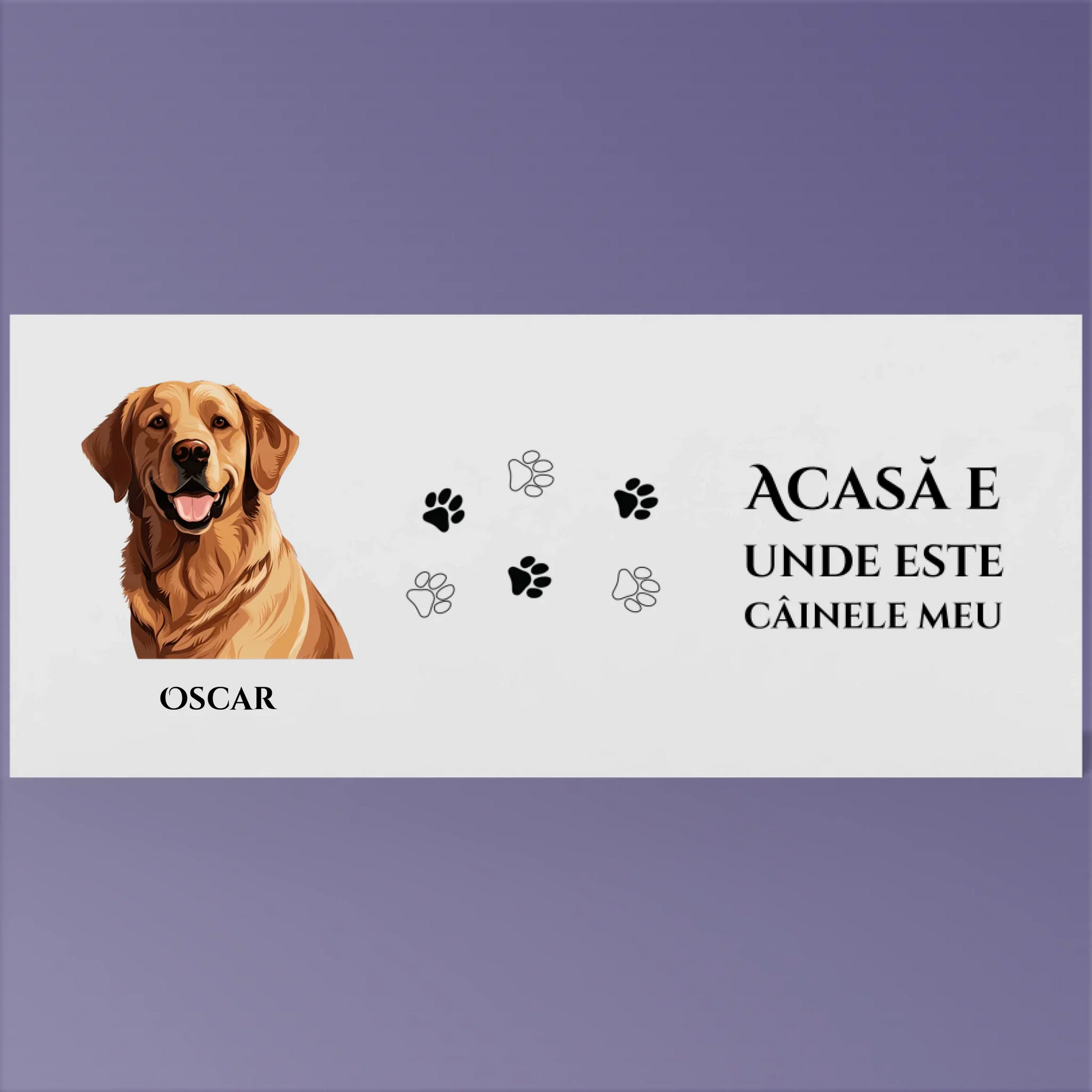 Render_Mockup_1920_1920_2026-03-21_2