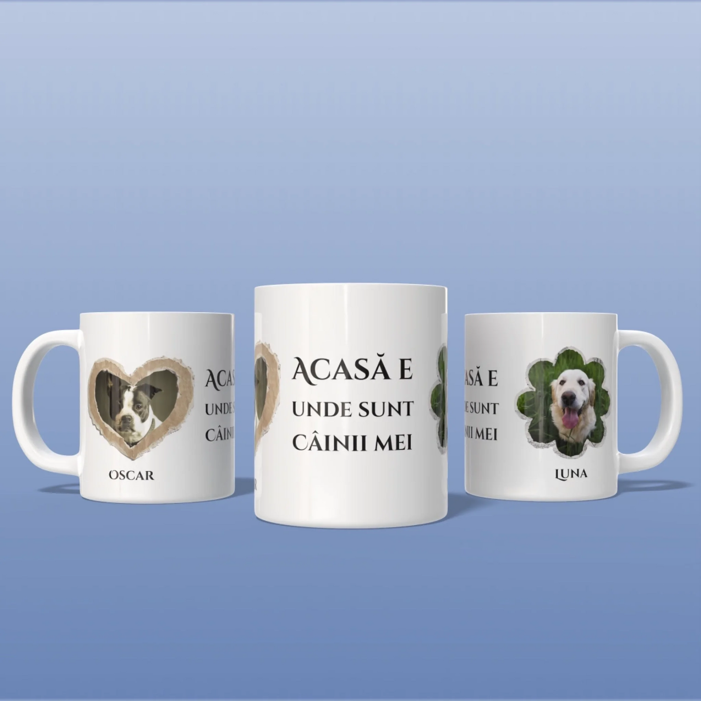 Render_Mockup_1920_1920_2026-04-03_9