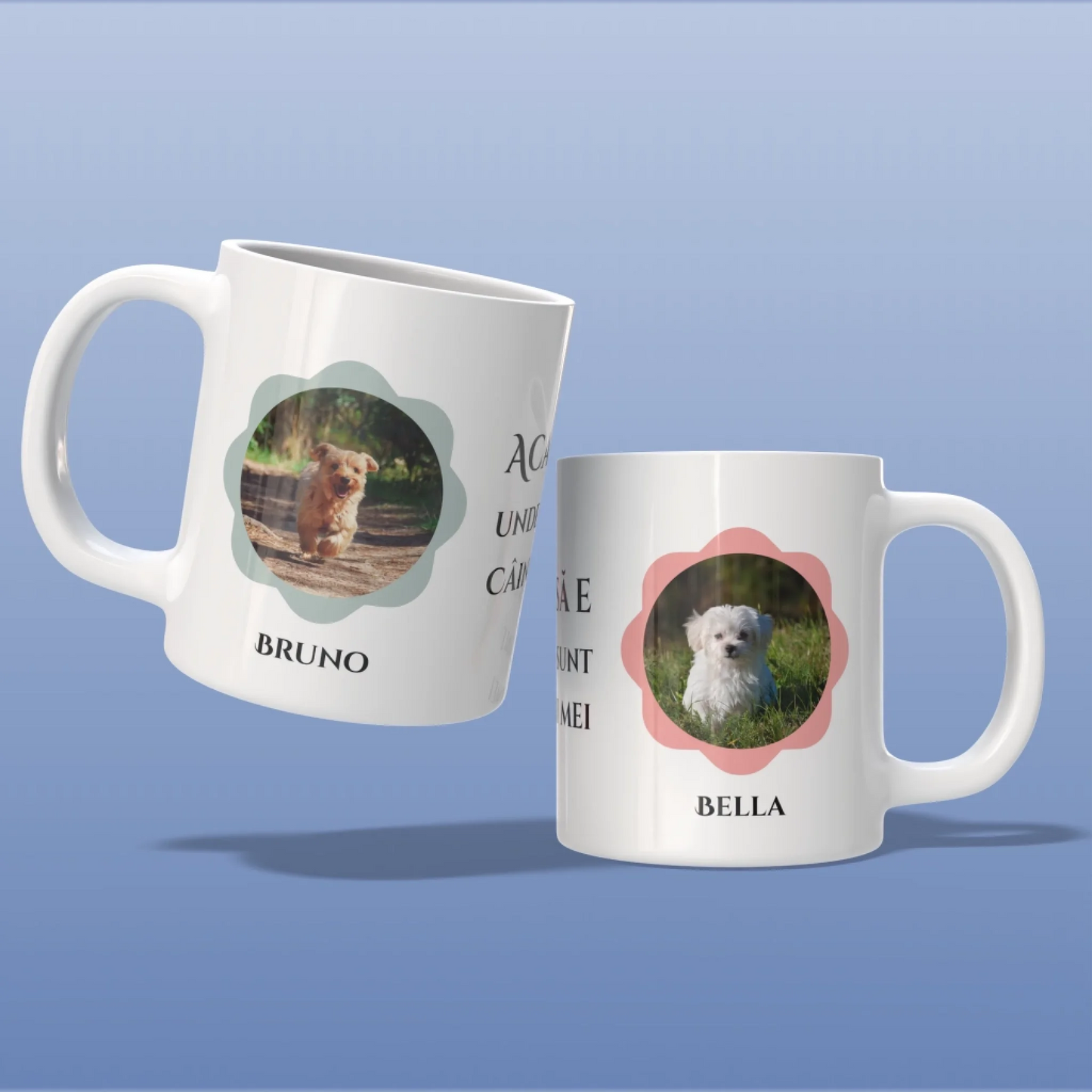 Render_Mockup_1920_1920_2026-04-03_5