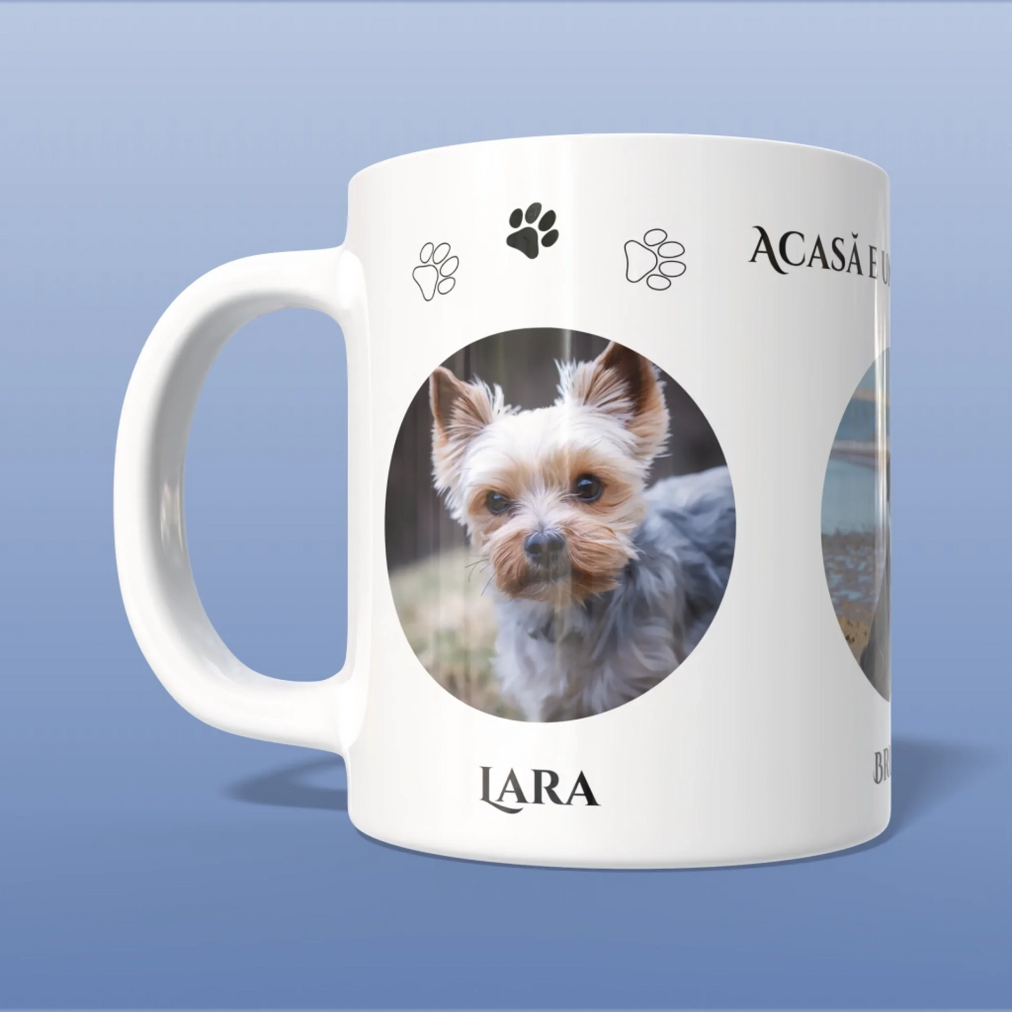 Render_Mockup_1920_1920_2026-04-03