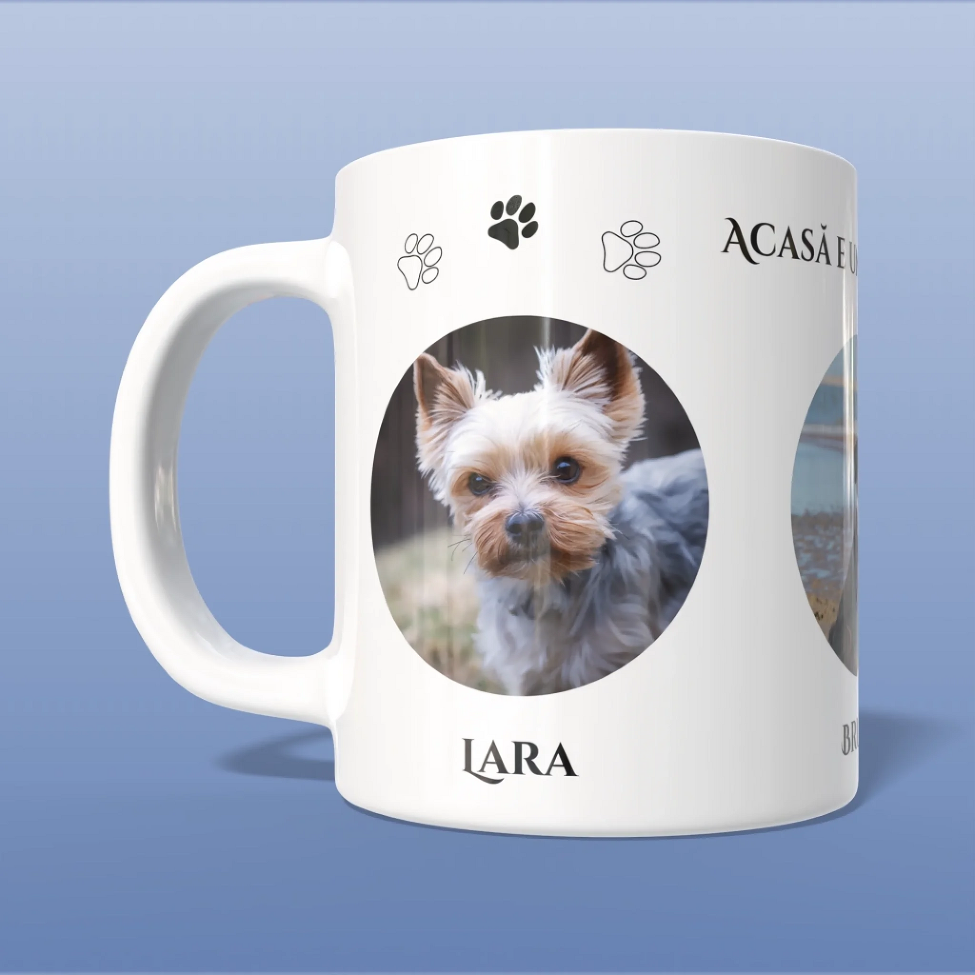 Render_Mockup_1920_1920_2026-04-03