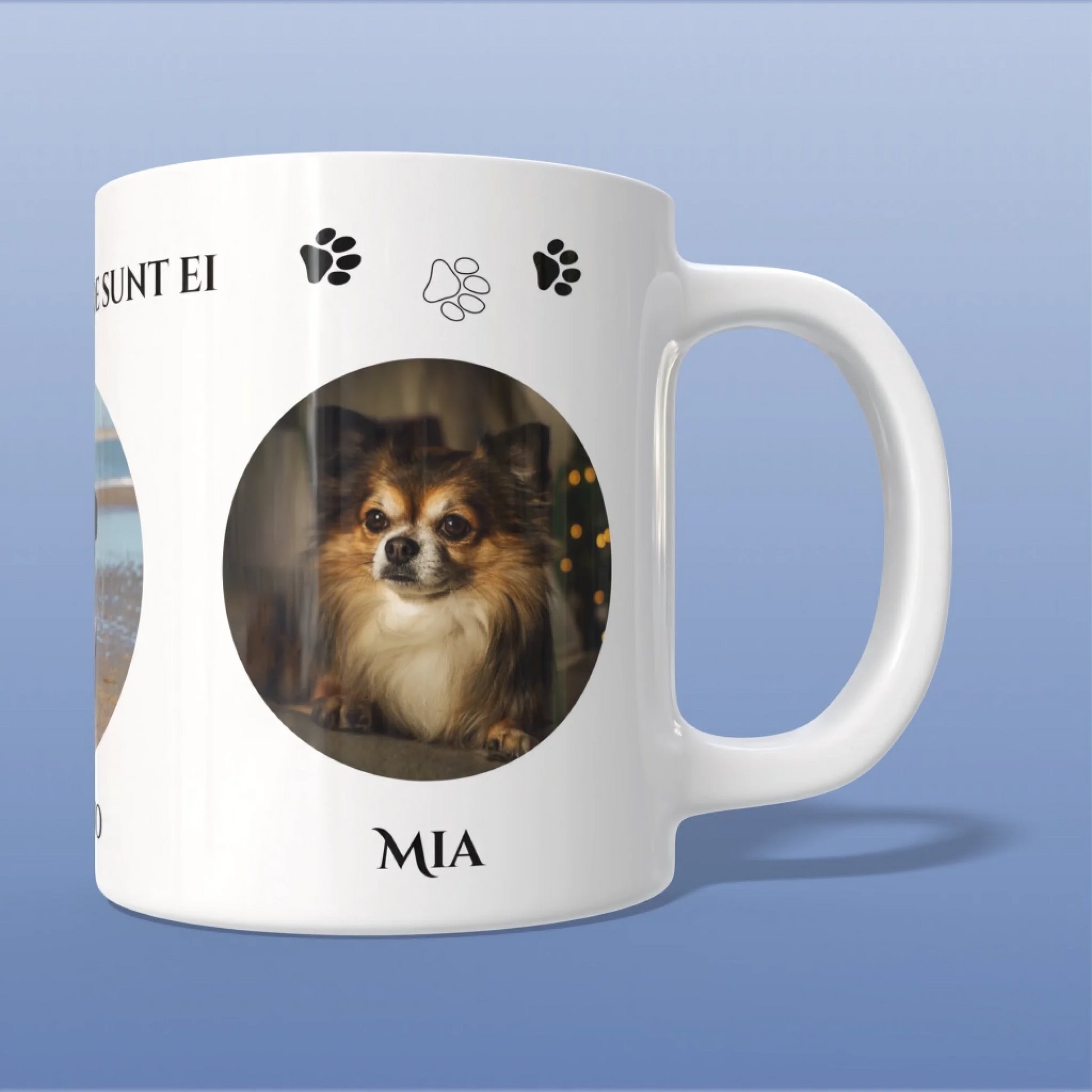 Render_Mockup_1920_1920_2026-04-03_3