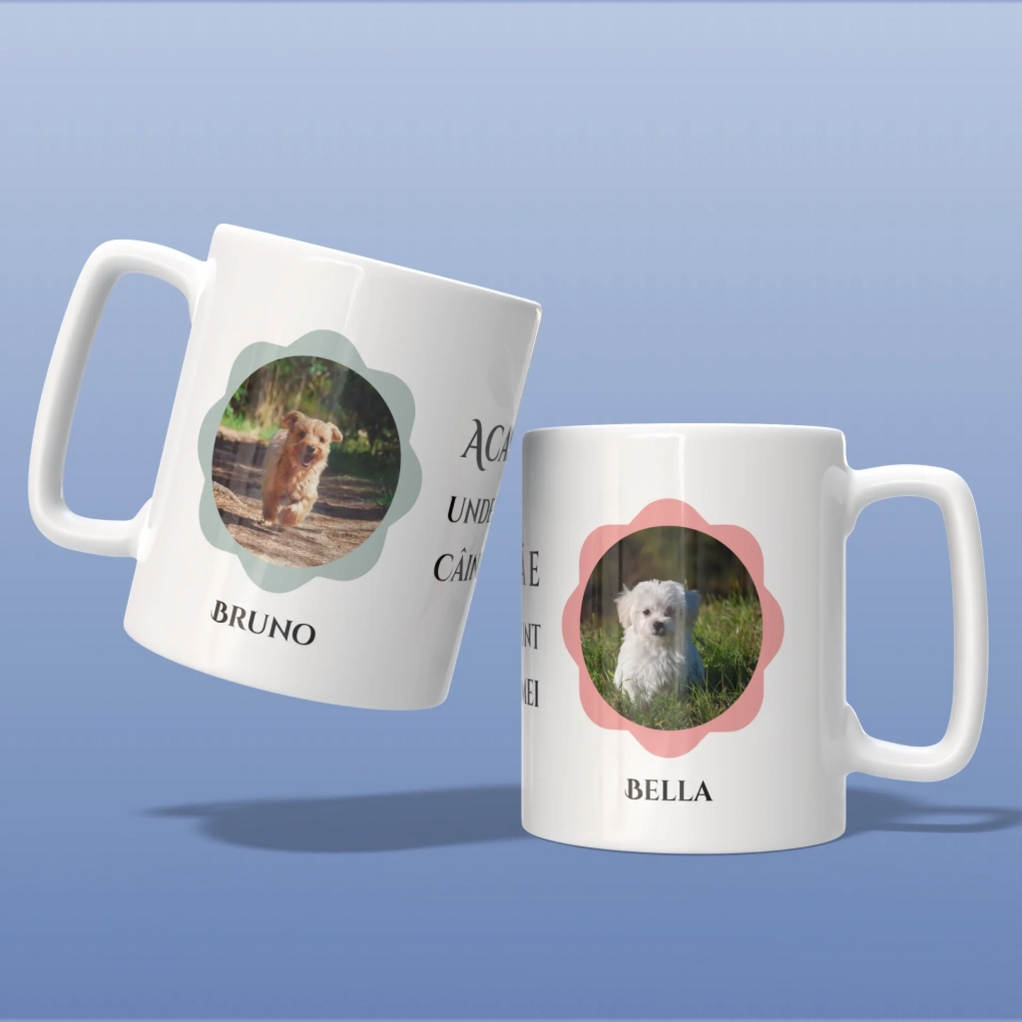 Render_Mockup_1920_1920_2026-04-0-3