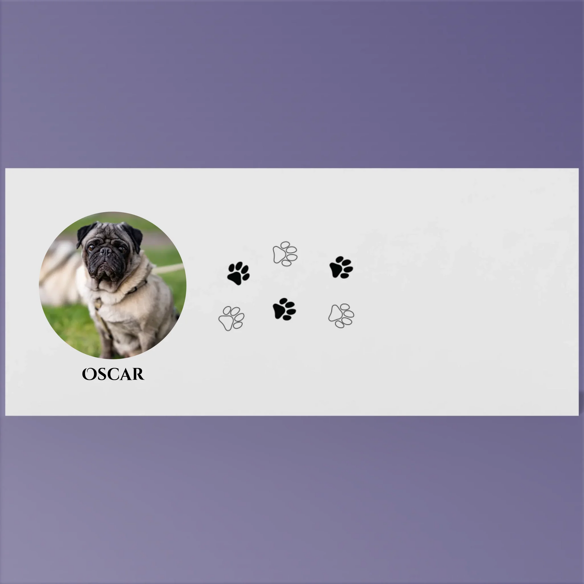 Render_Mockup_1920_1920_2026-03-21_2