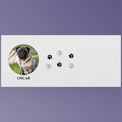 Render_Mockup_1920_1920_2026-03-21_2