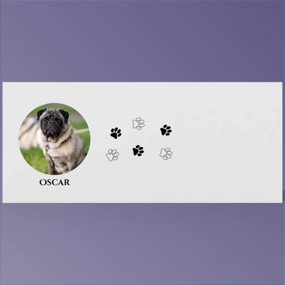 Render_Mockup_1920_1920_2026-03-21_2