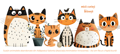 Cană caritabilă „Mici curioși” – Blănoșii jucăuși